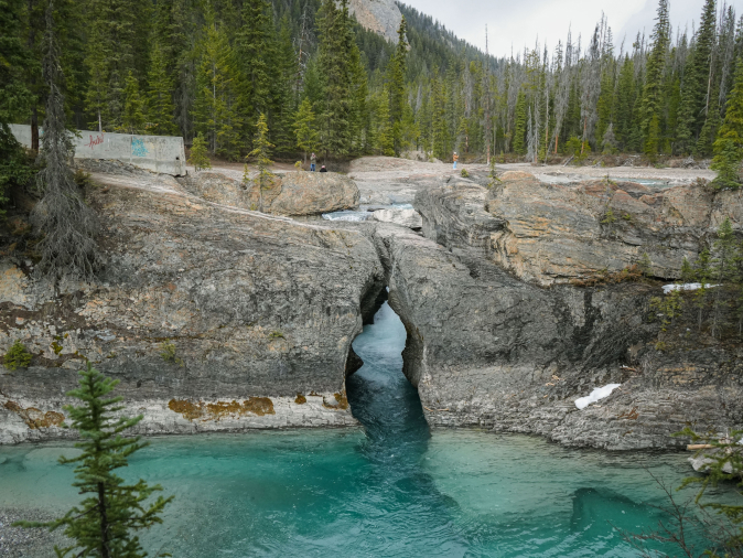 River running through a rocky gorge with forest